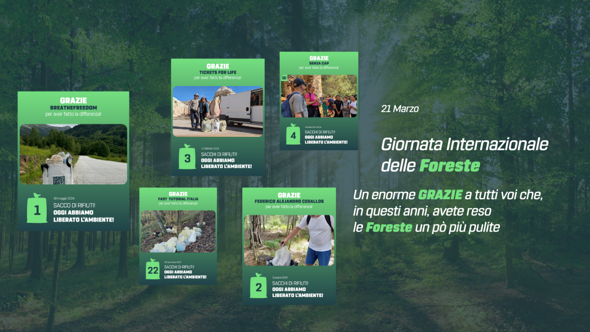 Giornata Internazionale delle Foreste: perché proteggere i nostri polmoni verdi
