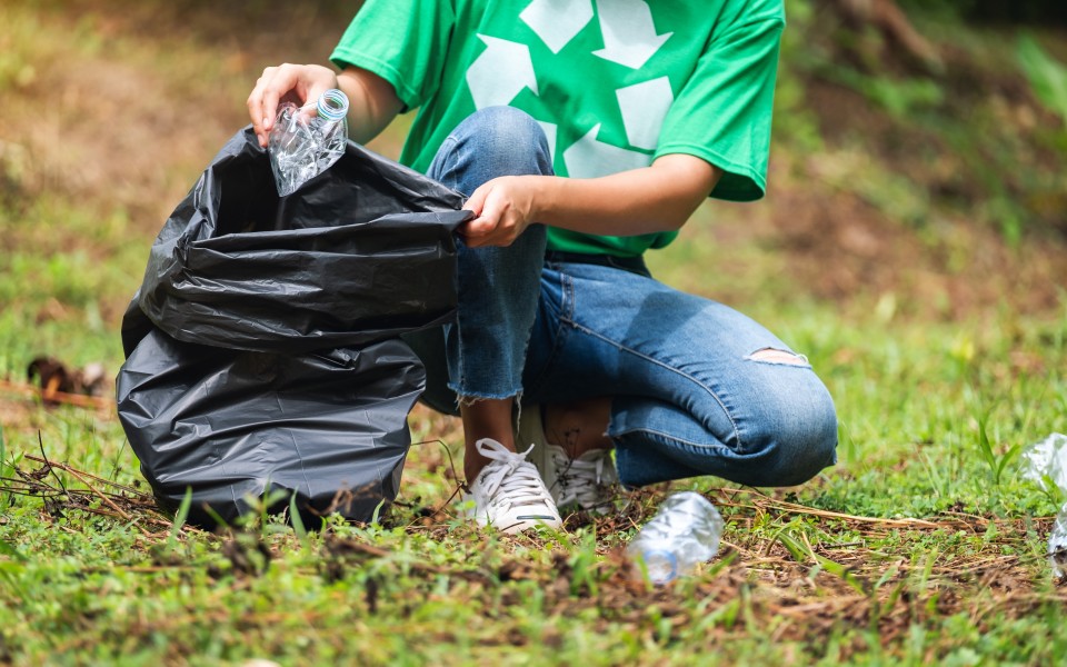 I Rifiuti nei Boschi: Impatto Ambientale e Soluzioni per una Natura Più Sana