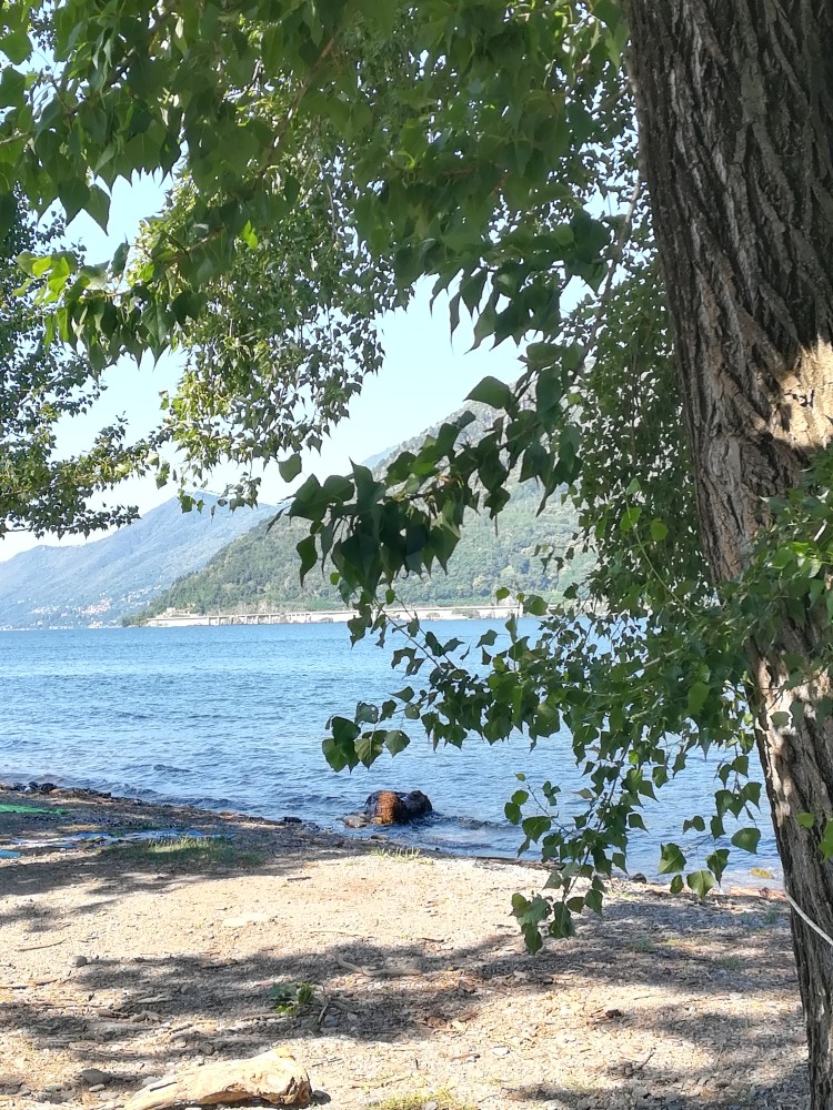 MACCAGNO LUNGOLAGO