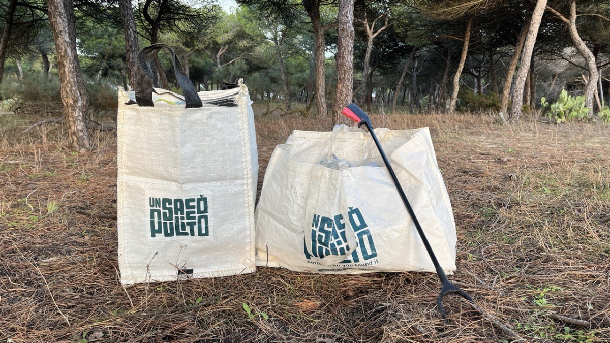 Pineta in Andalusia Pineta in Andalusia