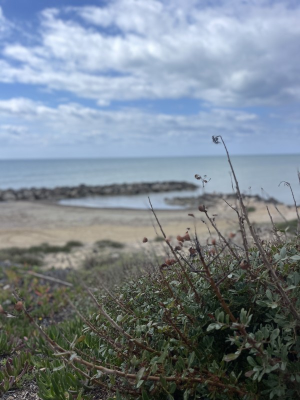 Punta Cirica