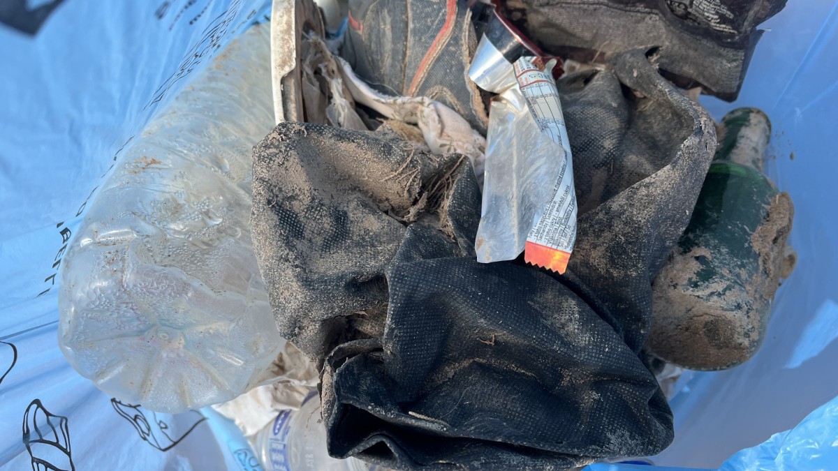 2026 03 08 11 17 12 389 2026 03 08 11 17 12 389