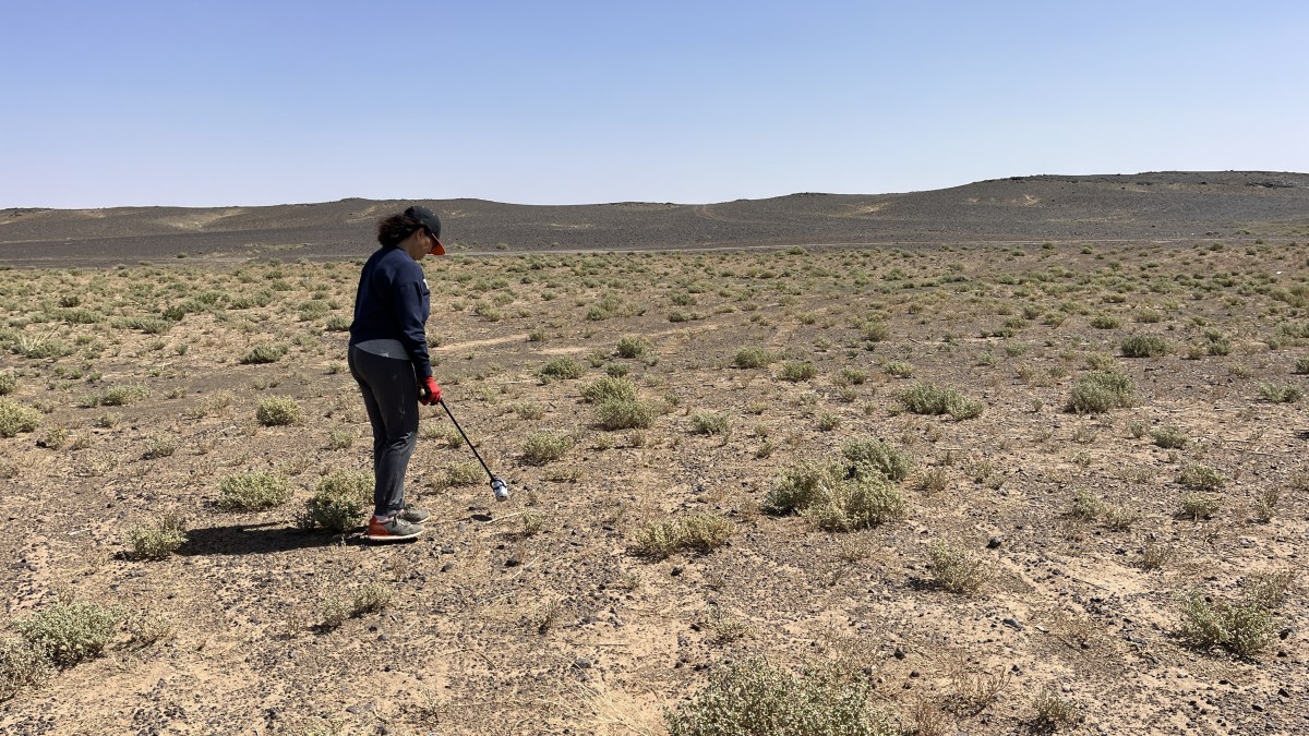 2026 03 08 11 40 28 648 2026 03 08 11 40 28 648