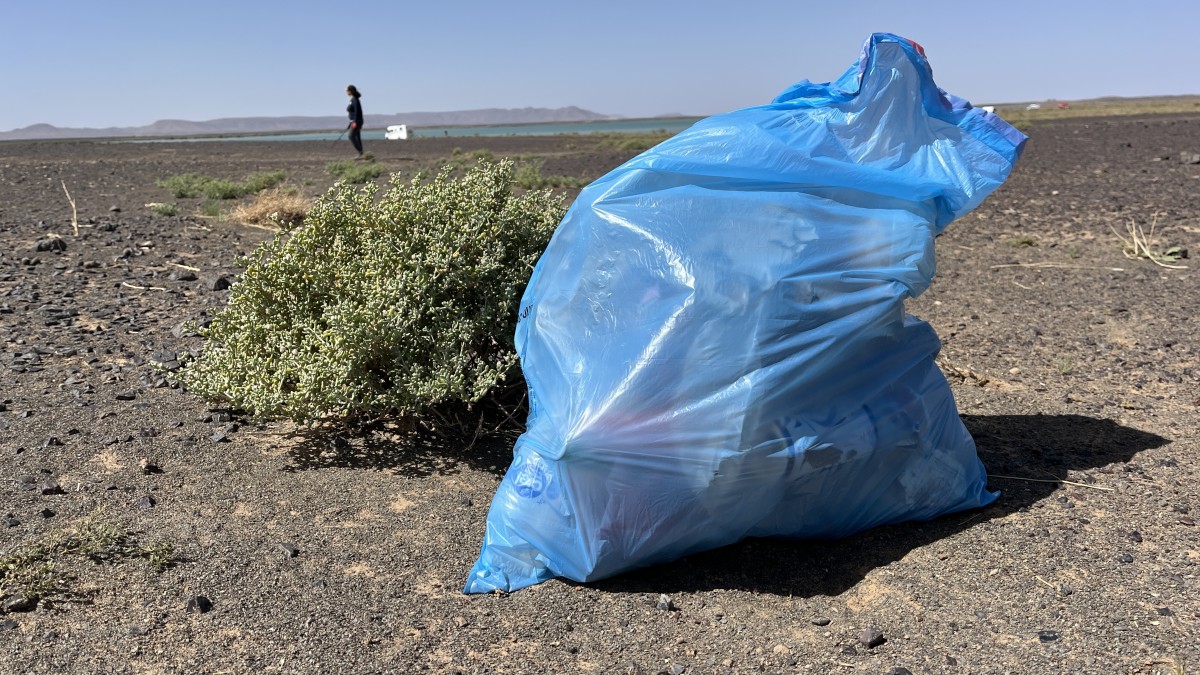 2026 03 08 11 51 44 028 2026 03 08 11 51 44 028