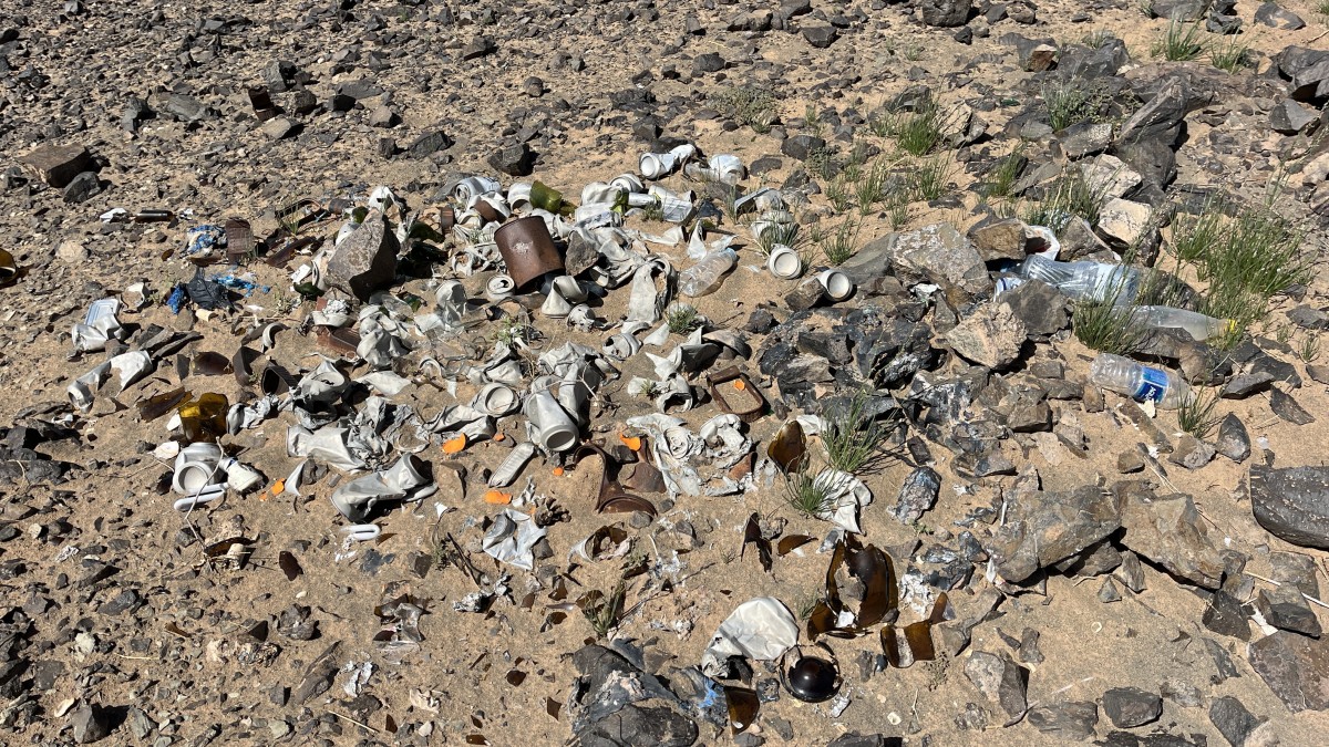 2026 03 08 12 02 40 517 2026 03 08 12 02 40 517