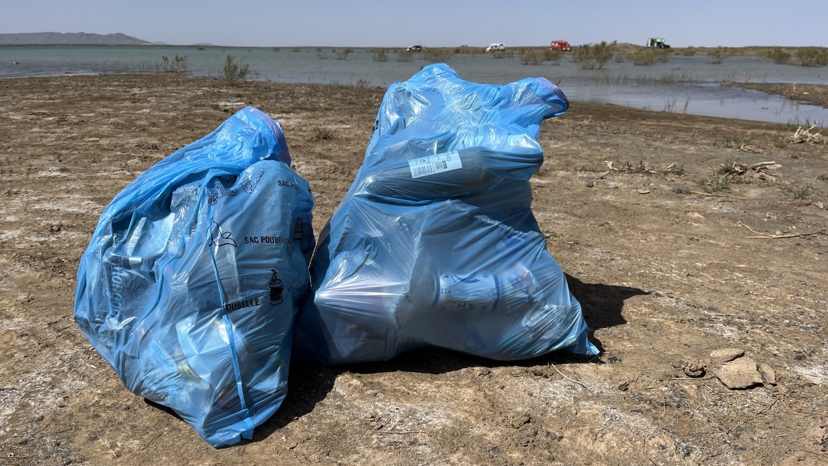 2026 03 08 12 20 24 000 2026 03 08 12 20 24 000