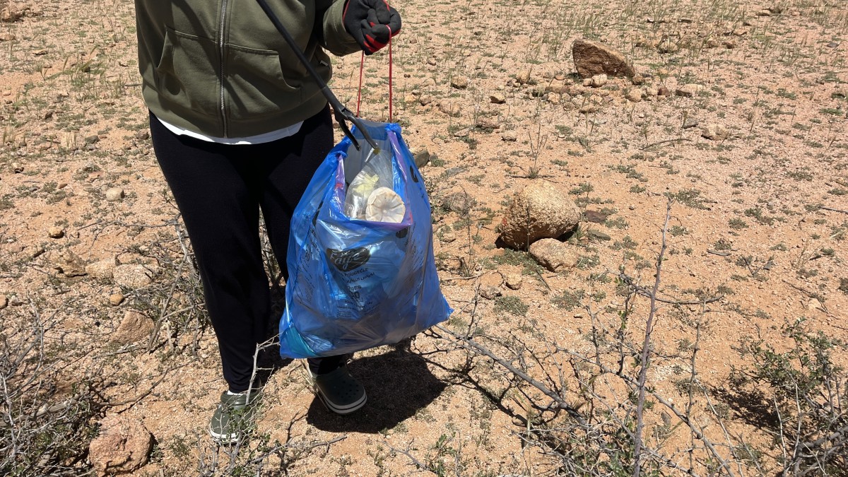 2026 04 10 13 33 42 261