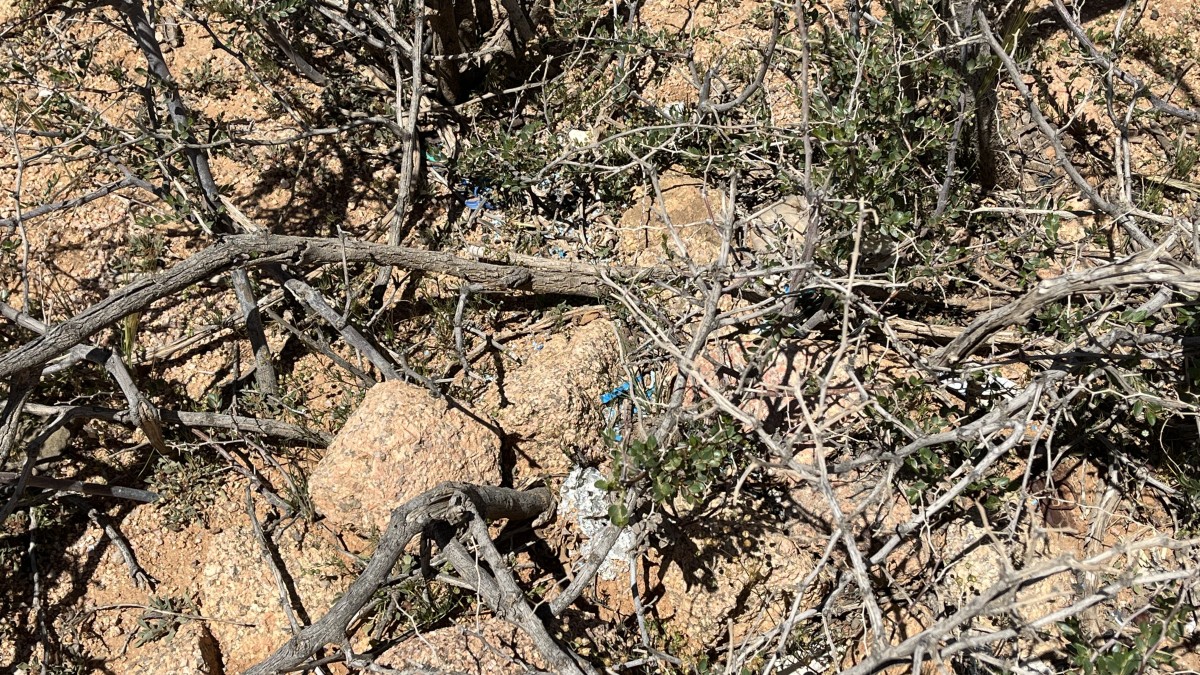 2026 04 10 13 33 48 594