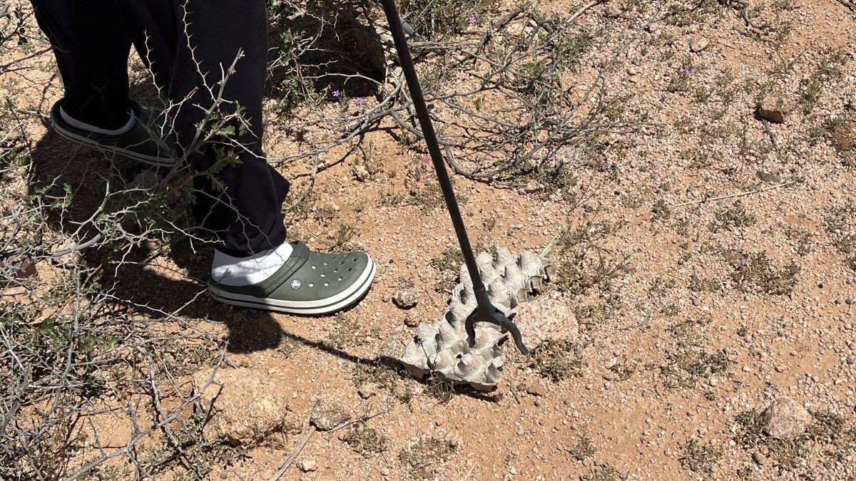 2026 04 10 13 33 51 964