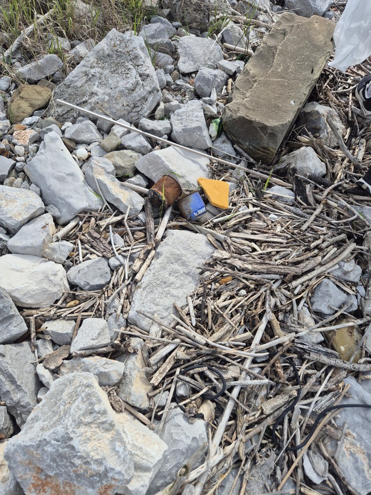 20260315 111719 20260315 111719