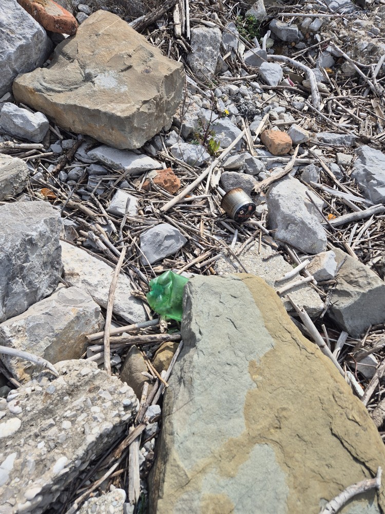 20260315 111742 20260315 111742