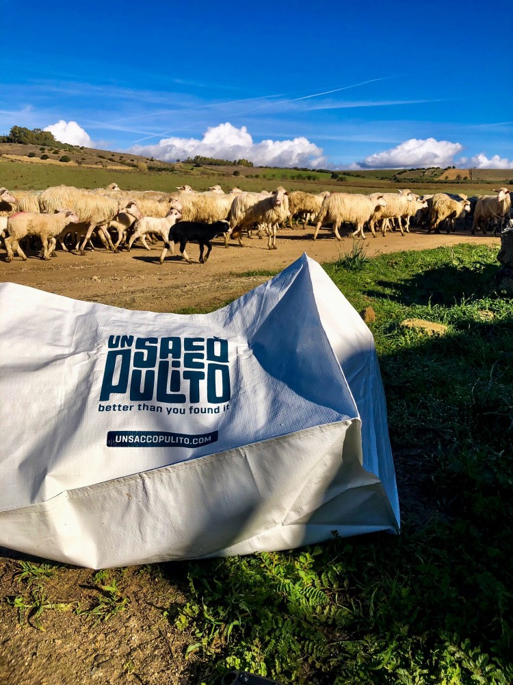 622ed5f0 4533 4be7 a0a1 5b70ba708b16