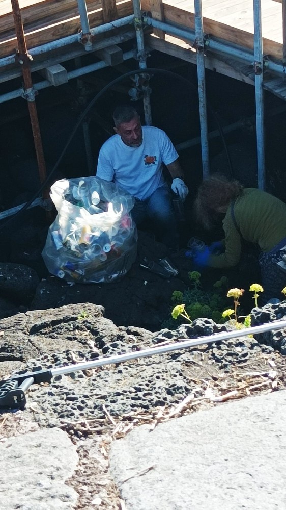 82f01af5 4c2c 43f8 825f 360ebf8f3c20