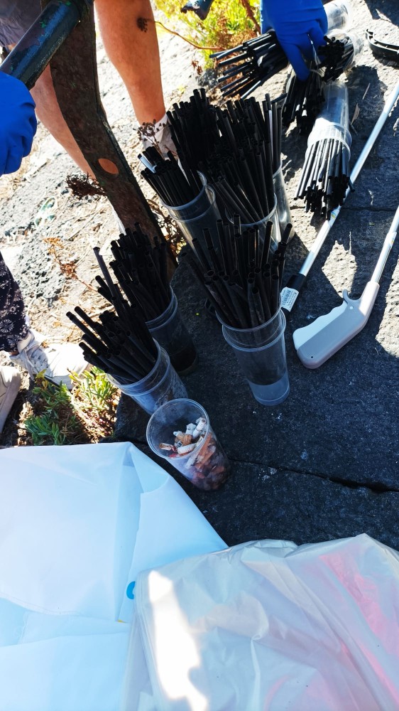 8643068c cead 4387 a5d6 94d92d8d0575