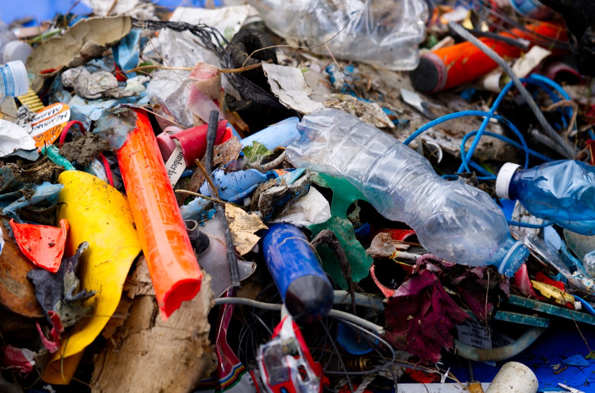 Clean Up 2026 Ayas Frachey finali4 Clean Up 2026 Ayas Frachey finali4