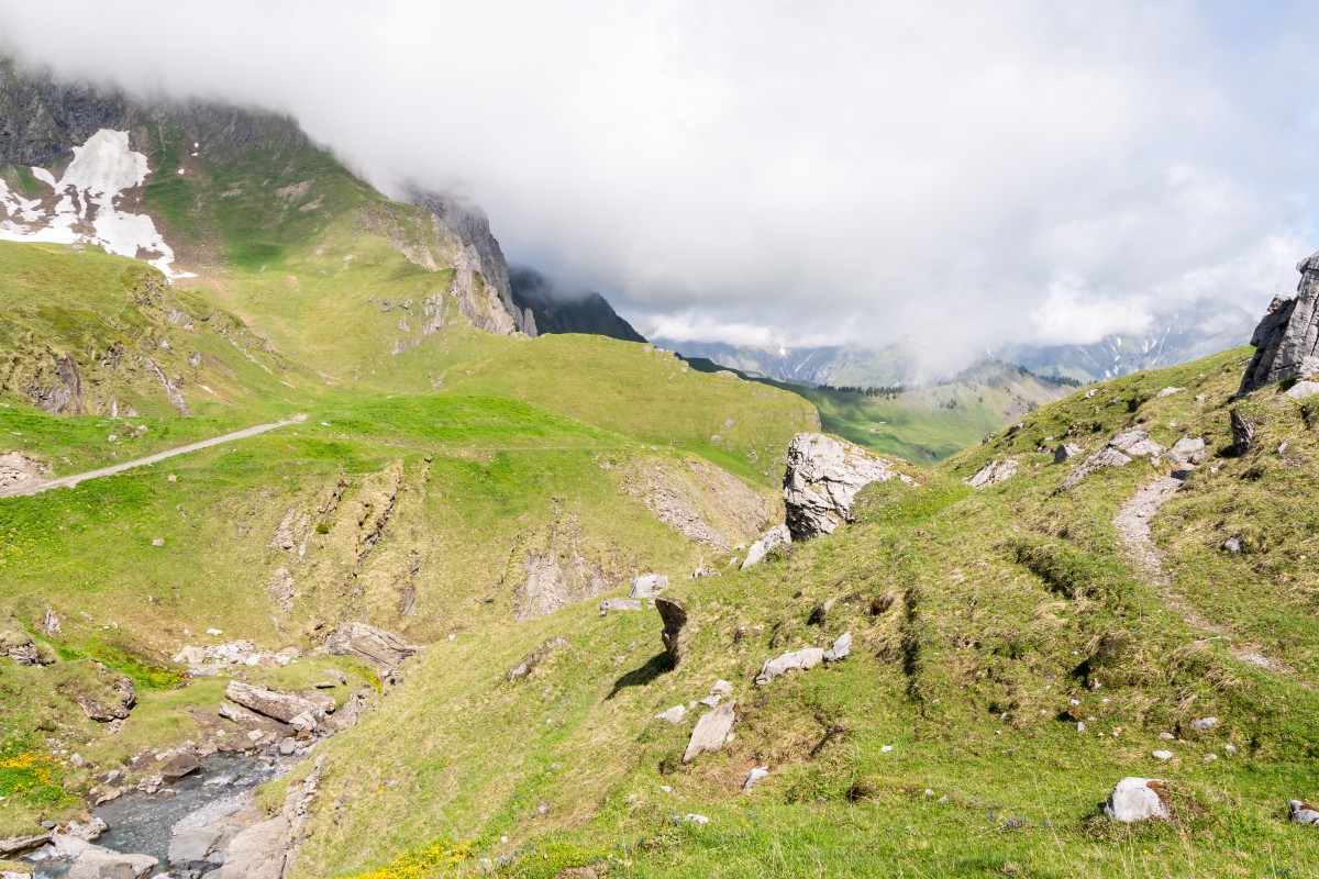 Clean Up Tour 2026 Engsligenalp8 Clean Up Tour 2026 Engsligenalp8