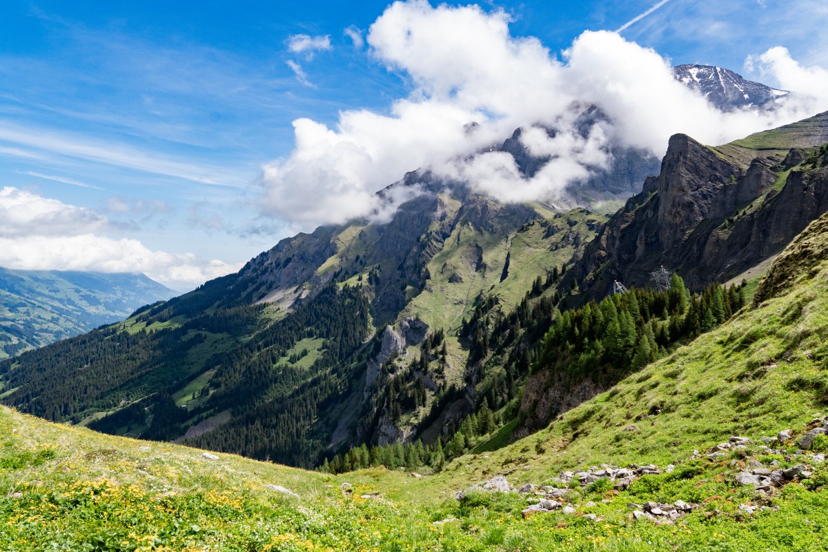Clean Up Tour 2026 Engsligenalp9 Clean Up Tour 2026 Engsligenalp9