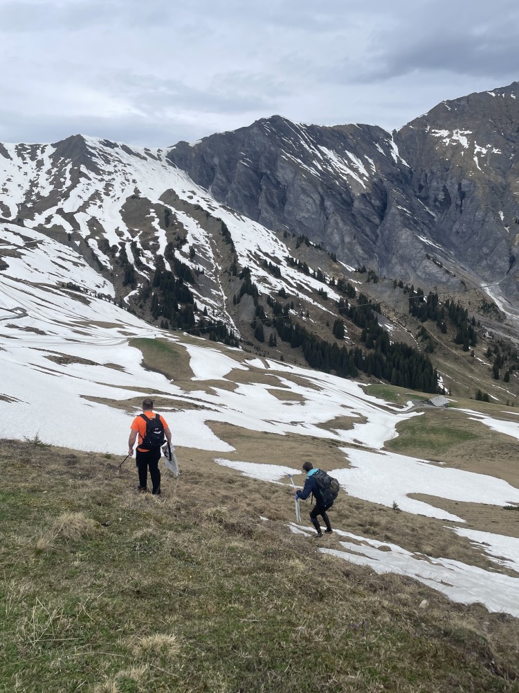 Clean Up Tour Summit Foundation Adelboden4 Clean Up Tour Summit Foundation Adelboden4