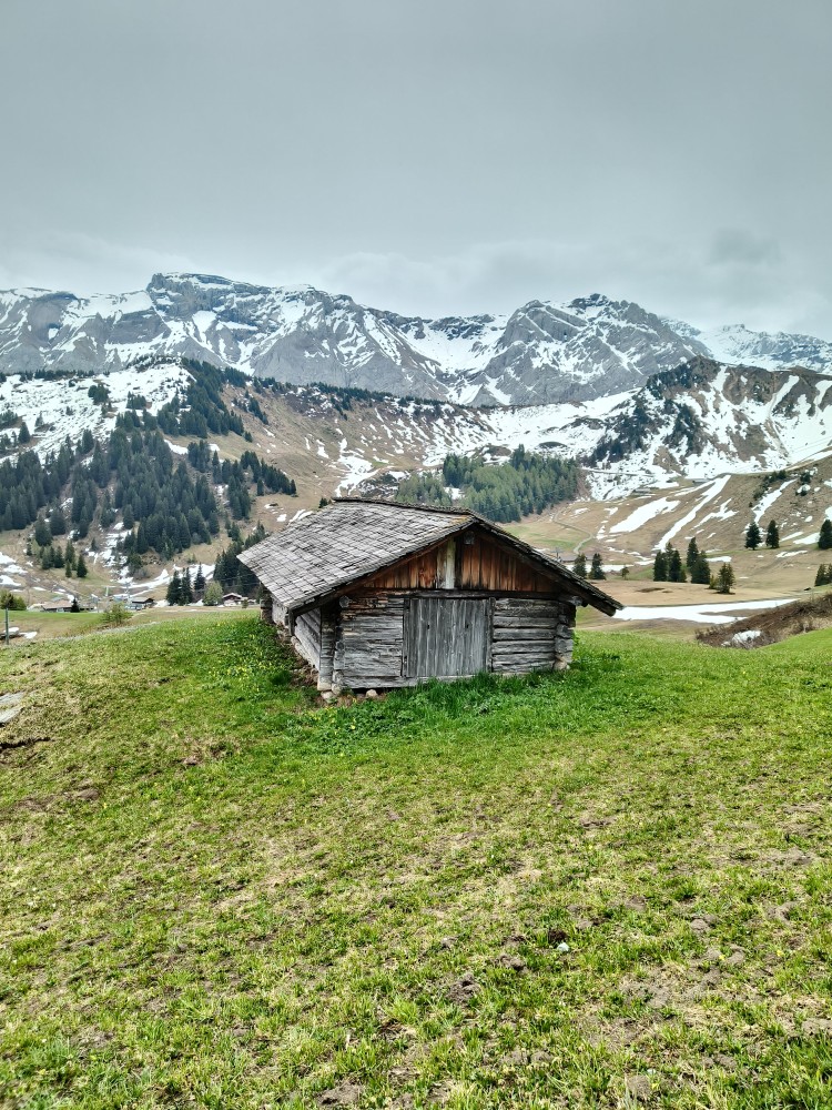 Clean Up Tour Summit Foundation Adelboden5 Clean Up Tour Summit Foundation Adelboden5