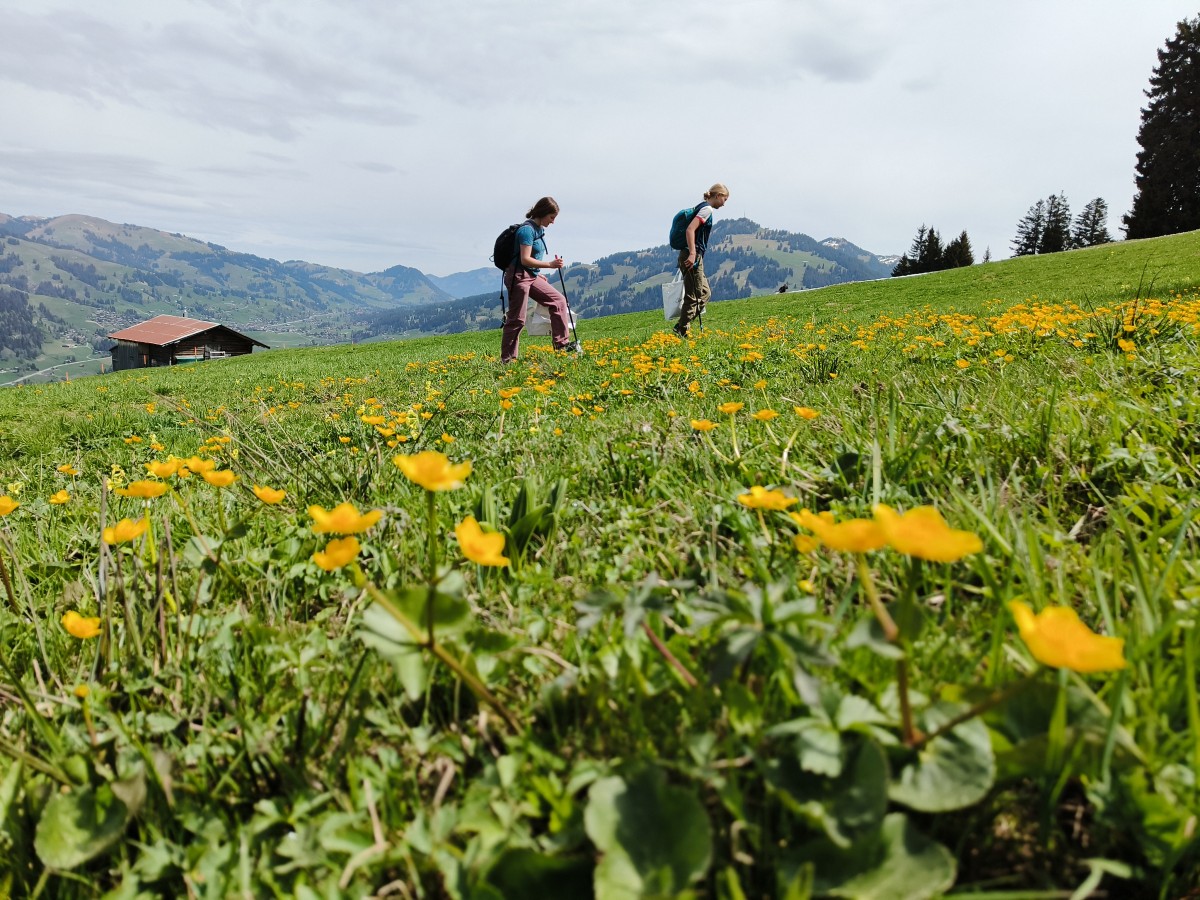 Clean Up Tour Summit Foundation Gstaad4 Clean Up Tour Summit Foundation Gstaad4