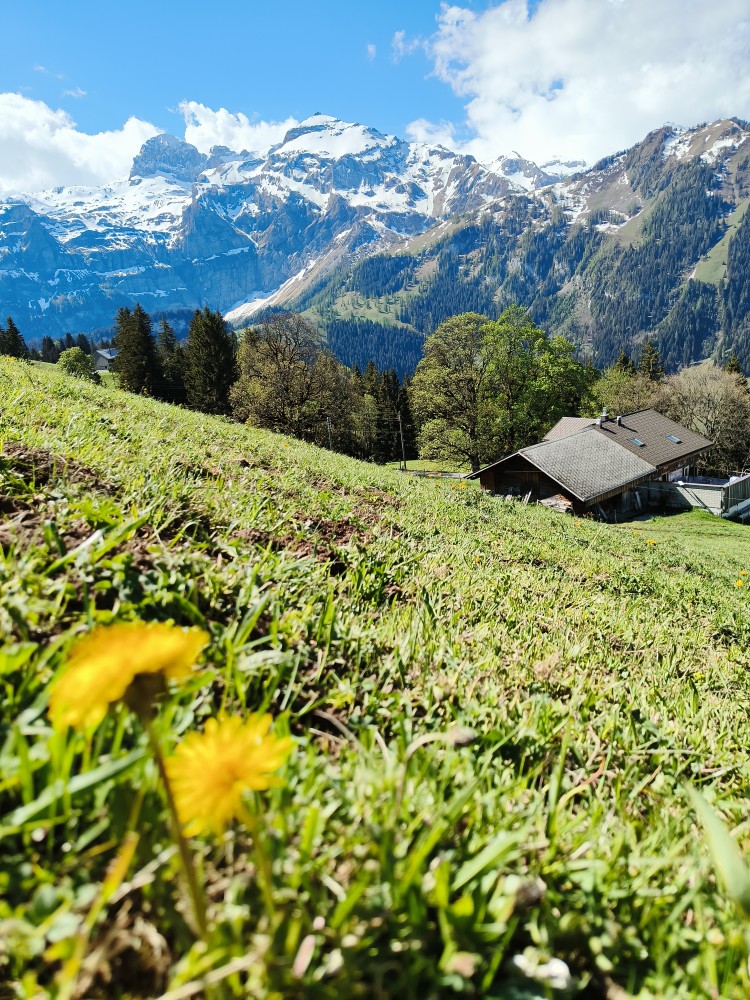 Clean Up Tour Summit Foundation Lenk2