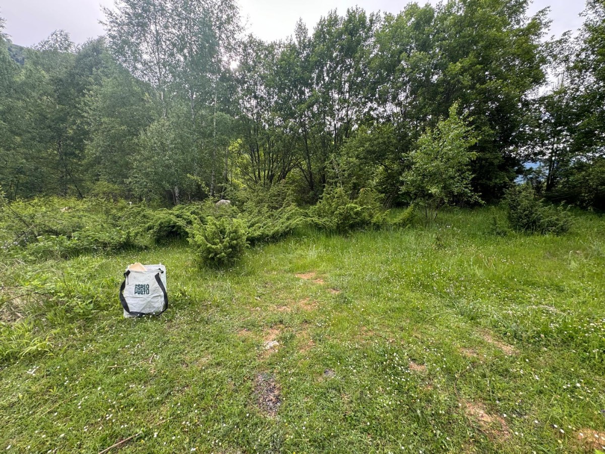 IMG 20240530 WA0001