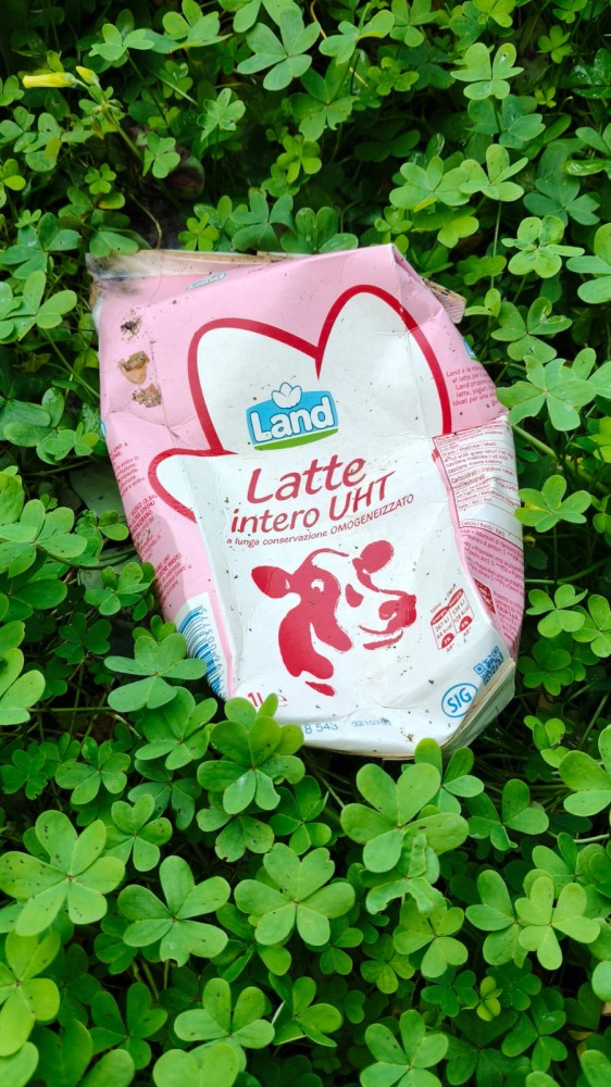 IMG 20260208 WA0017 IMG 20260208 WA0017