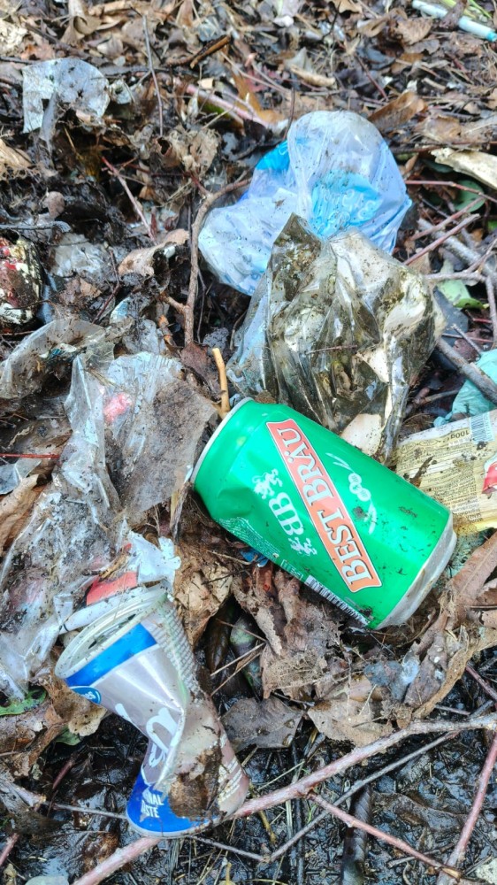 IMG 20260208 WA0018 IMG 20260208 WA0018