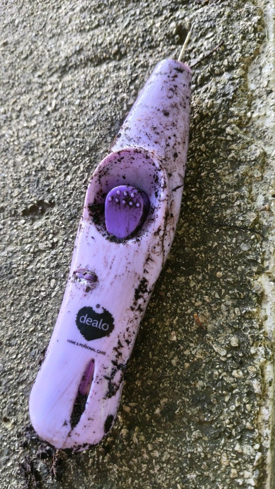 IMG 20260208 WA0024 IMG 20260208 WA0024