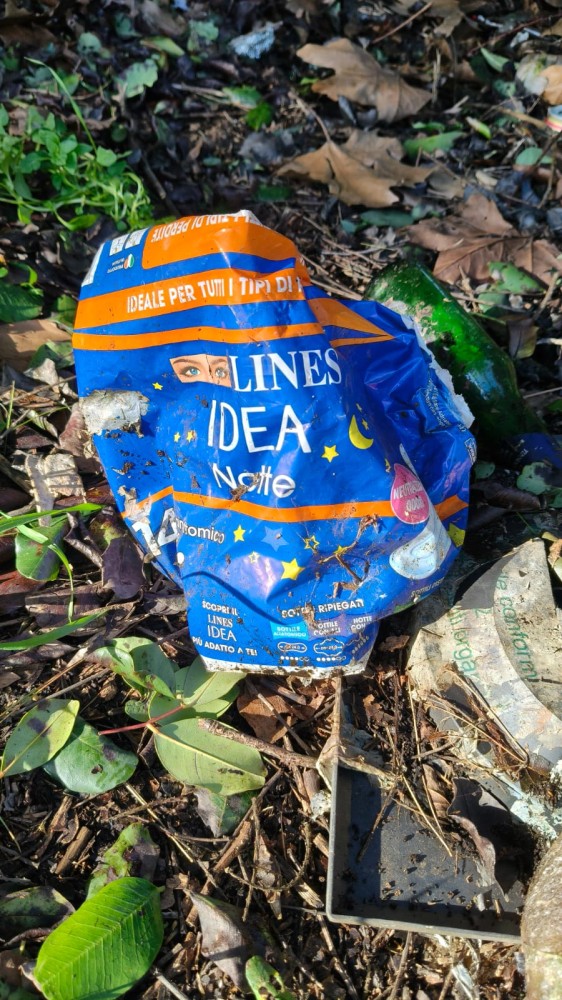 IMG 20260208 WA0039 IMG 20260208 WA0039