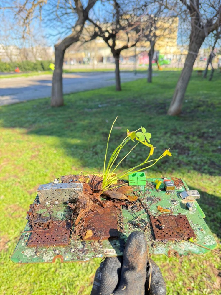 IMG 20260208 WA0061 IMG 20260208 WA0061