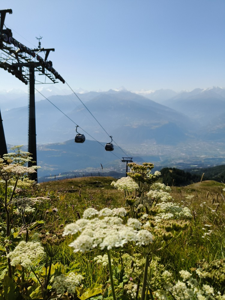 IMG20250809103255