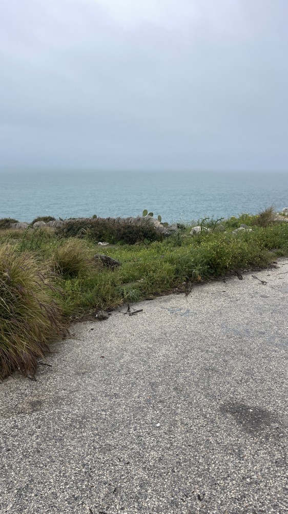 IMG 0671