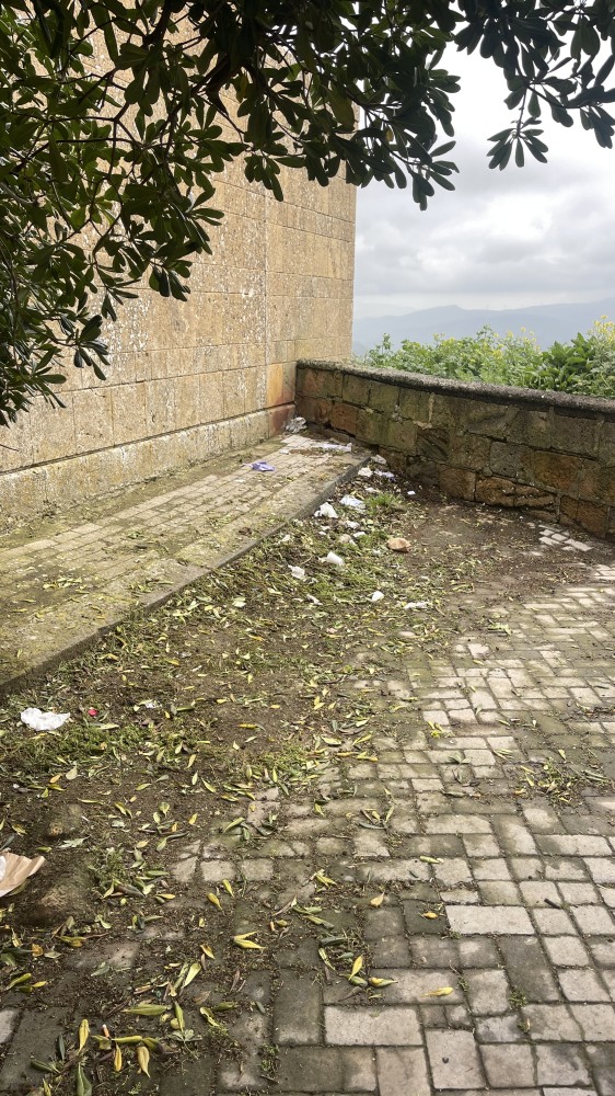IMG 0838