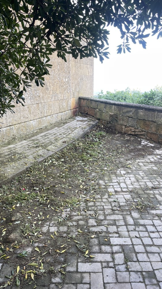 IMG 0842