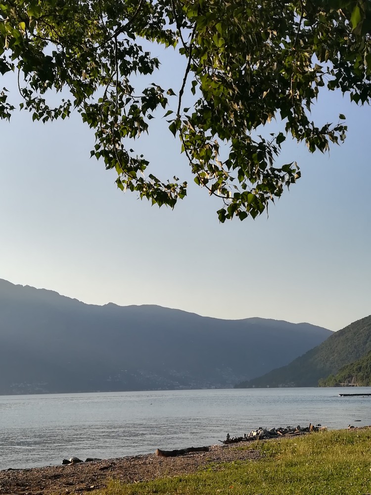 IMG 20250622 195402