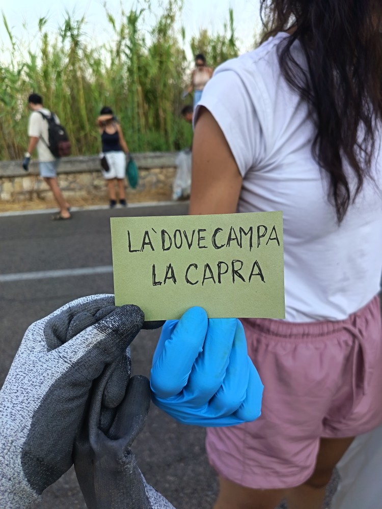 IMG 20260807 185401
