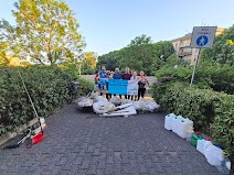 IMG 3499