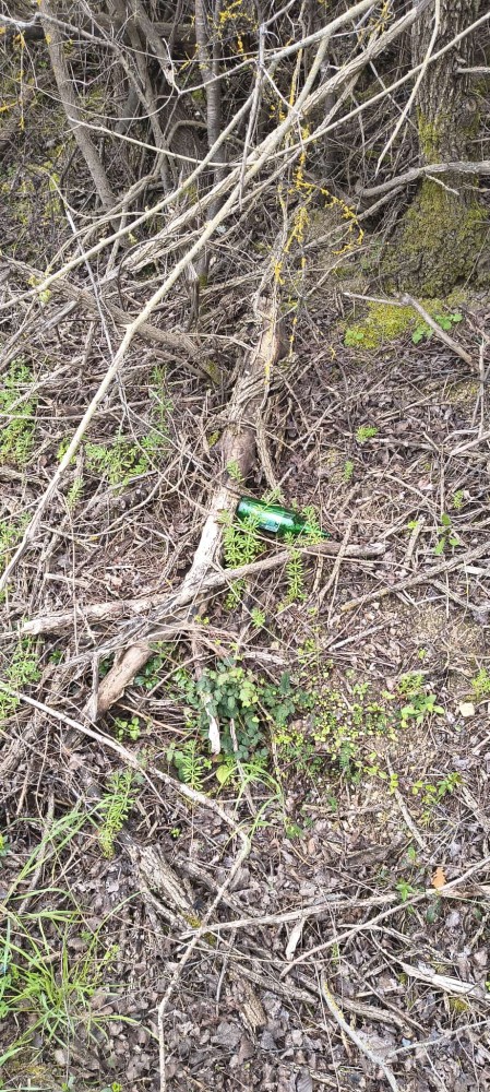 WhatsApp Image 2026 03 29 at 17 WhatsApp Image 2026 03 29 at 17