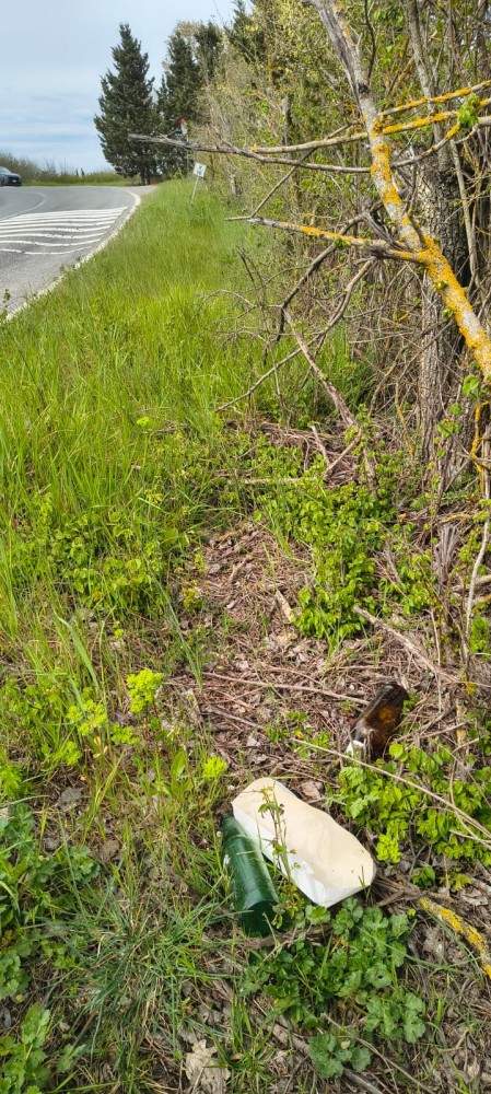 WhatsApp Image 2026 03 29 at 17 WhatsApp Image 2026 03 29 at 17