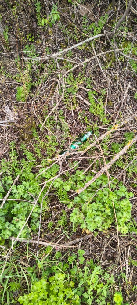 WhatsApp Image 2026 03 29 at 17 WhatsApp Image 2026 03 29 at 17