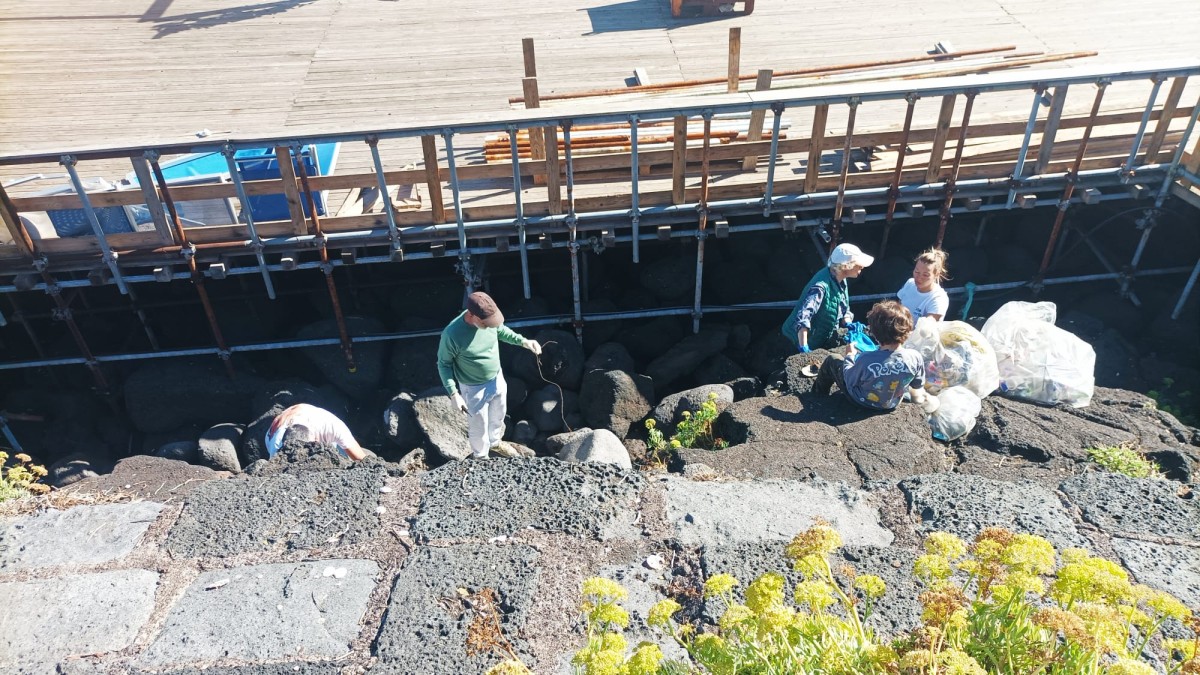 a5ef7bf6 d3af 47f8 a9d9 d08b17d0ed67