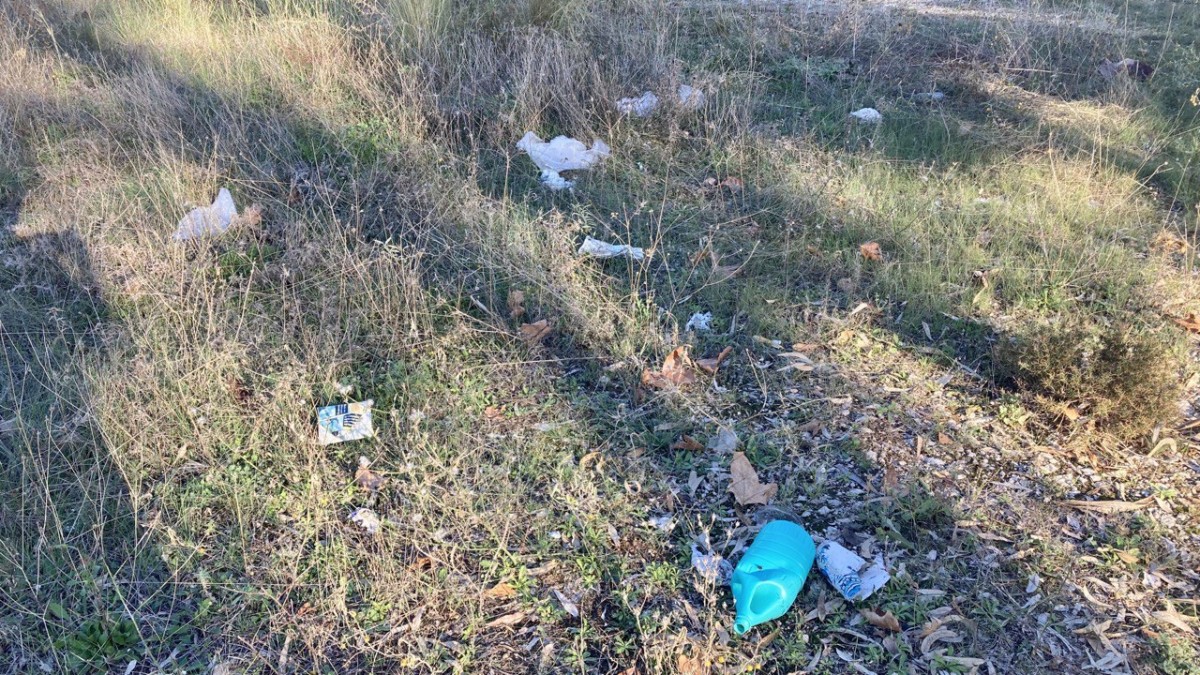 photo 2023 11 16 21 36 32