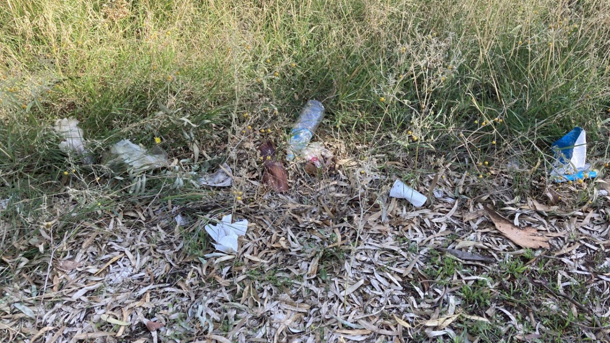 photo 2023 11 16 21 36 54