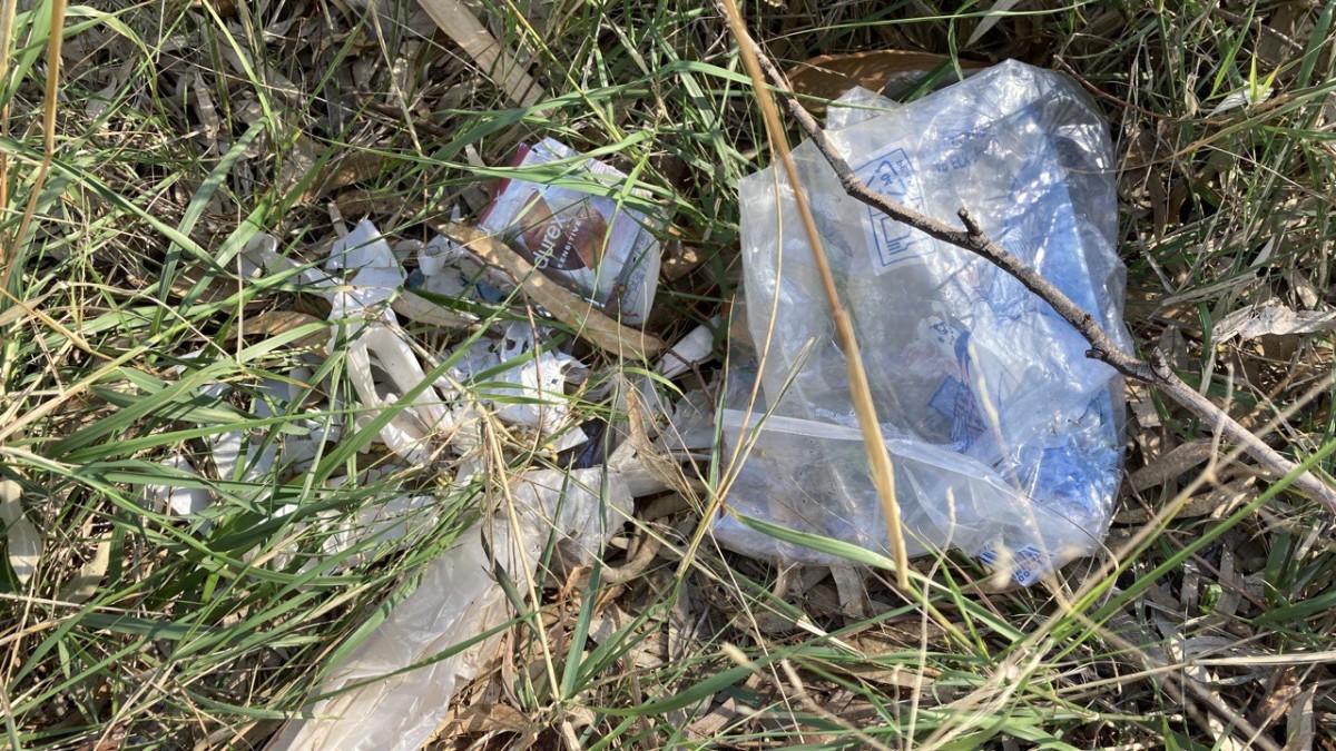 photo 2023 11 16 21 37 04