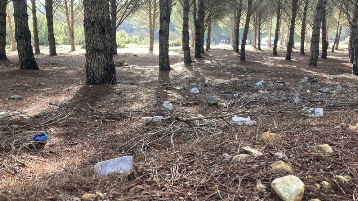 photo 2024 01 24 17 13 17