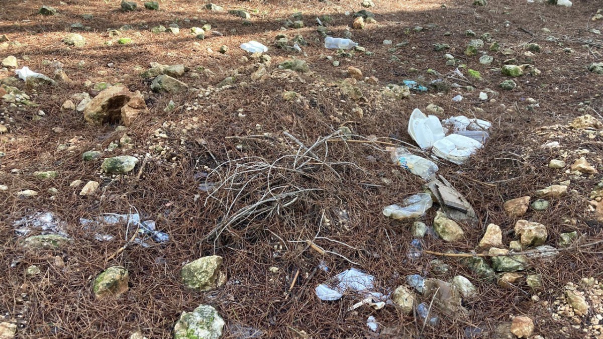 photo 2024 01 24 17 13 18