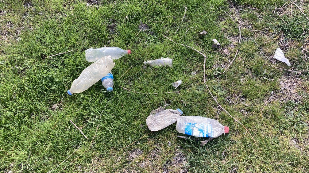 photo 2024 04 05 18 42 27