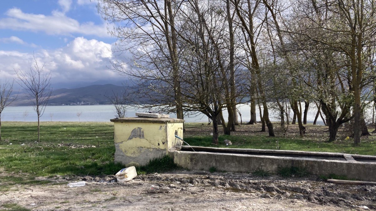 photo 2024 04 05 18 42 29