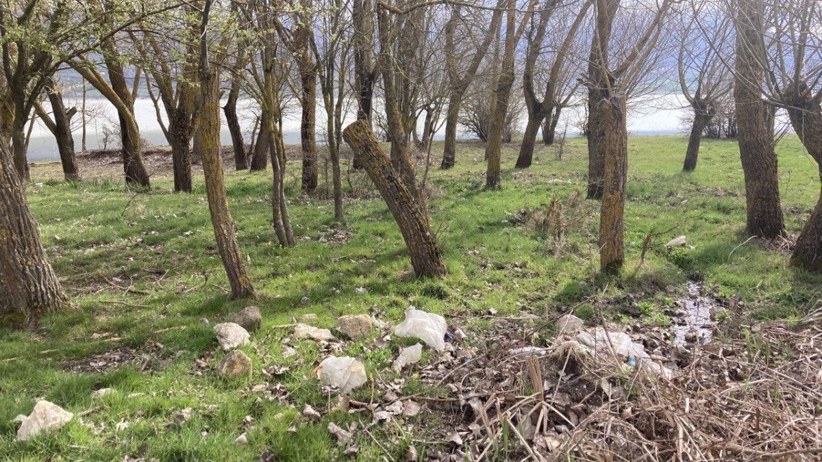photo 2024 04 05 18 42 38
